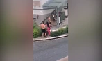Policejní stanice v Úpici v obležení