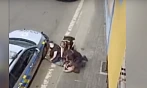 Na Facebooku se objevilo video z incidentu, které na svém webu sdílí i Romea.cz.