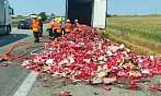 Krátce před druhou odpoledne hasiči likvidovali požár návěsu kamionu na 33. km...