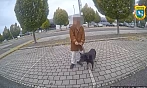 Mladík v Ostravě ukradl fenku ze zahrady. Strážníci ji poznali podle svěšeného...