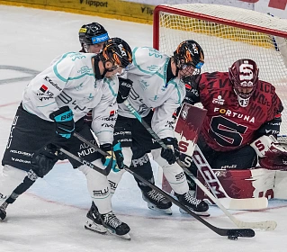 Hokejové utkání Tipsport extraligy mezi Karlovými Vary a Spartou.