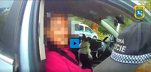 Všímavost pohotové řidičky zachránila ve čtvrtek odpoledne v...