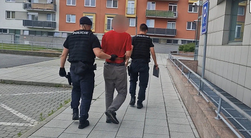 Policie zadrželi pachatele pokusu o znásilnění krátce po činu.
