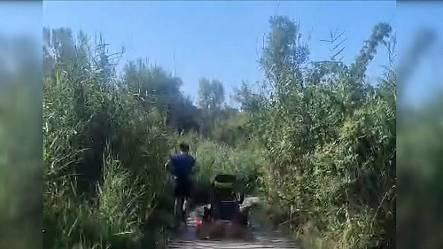 V parku Čihadla na Praze 14 došlo k nepříjemné situaci. Muž na elektrickém...