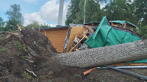 Stromy při bouřce popadaly na tábor v Bělči. (18. srpna 2026)
