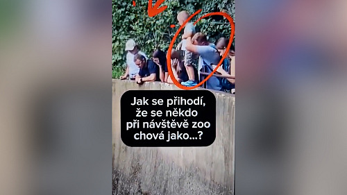Návštěvníci zoo v Ostravě i přes zákaz krmili opice, ohrozili i dítě