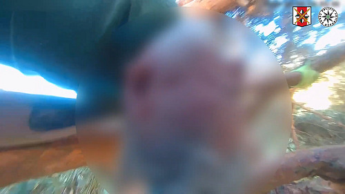 Policisté a hasiči pomáhali muži, který zůstal viset na stromě