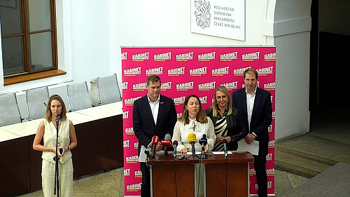 STAN navrhuje snížení náhrad, které dostávají politici k platu, o 40 procent