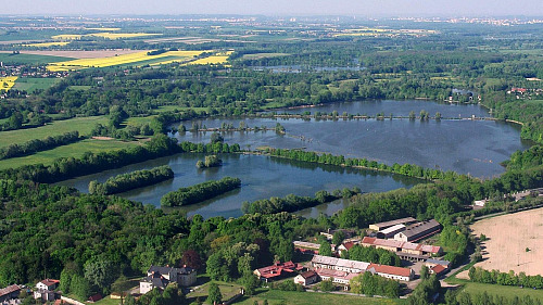 Rezervaci Kotvice tvoří rybníky Nový rybník a Kotvice s přilehlým okolím. Vede...