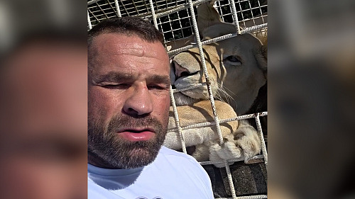 Lvice zabavená Vémolovi odjela do nového domova. Z dočasného útočiště v Zoo...