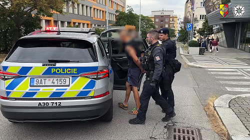 Policisté pronásledovali řidiče se zákazem řízení. V autě vezl desítky gramů...