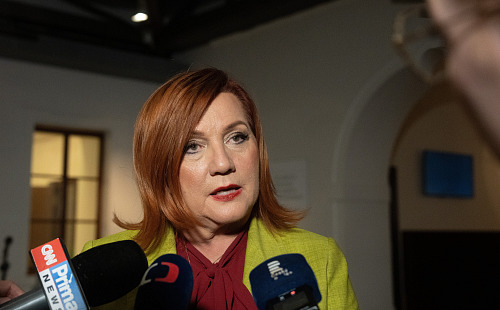 Vláda Andreje Babiše podle očekávání snadno ustála hlasování o nedůvěře vládě,...