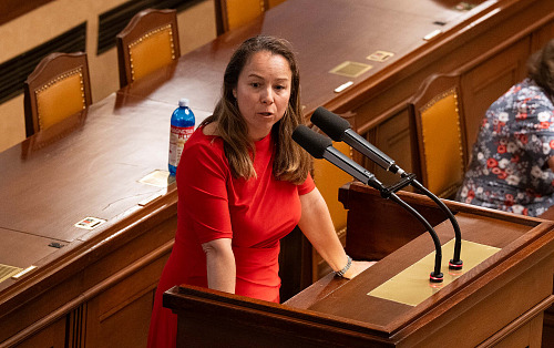 Šéfka poslanců STAN, místopředsedkyně hnutí vyzvala ve Sněmovně Filipa Turka: ...