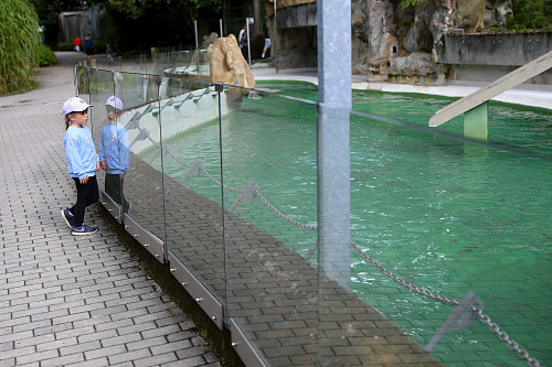 Návštěvníci liberecké zoo se zastavují u bazénu, který dříve obýval lachtan...