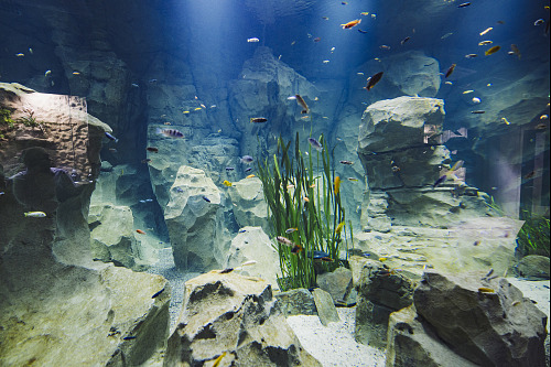 Novostavba pavilonu akvárií v hodonínské zoo nahradila původní objekt z roku...