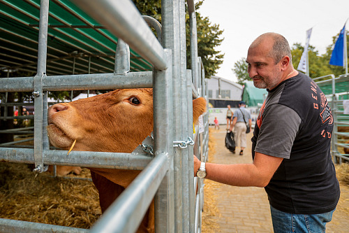 V Českých Budějovicích na výstavišti v pátek odstartoval už 52. ročník...