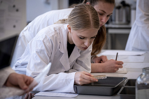 Studenti Střední zahradnické školy v Ostravě mohou nyní využívat tři nově...