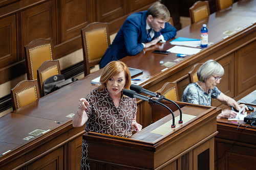 Ministryně financí Alena Schillerová během projednávání elektronické evidence...