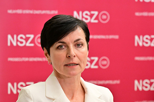 Nejvyšší státní zástupkyně Lenka Bradáčová na mimořádném tiskovém briefingu...