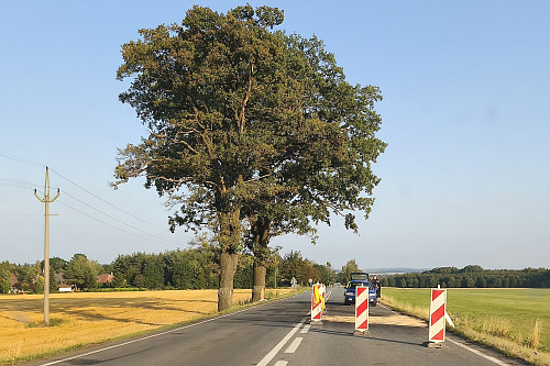 Místo tragické nehody u Javorníku na Svitavsku, kde řidič narazil s vozem do...