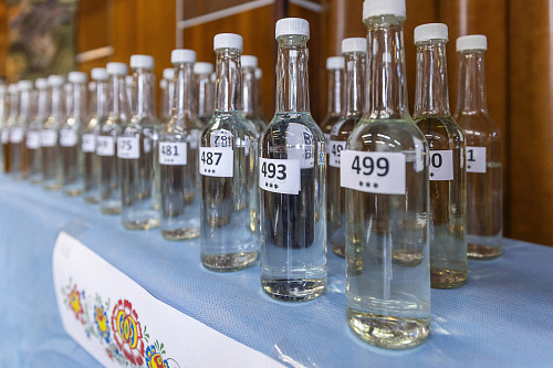 Košt slivovice v Ostrožské Lhotě návštěvníkům nabídl přes pět set vzorků. (22....