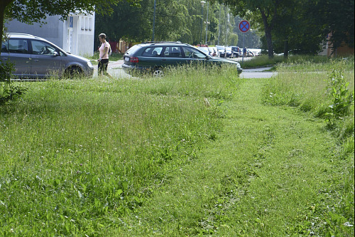 Prapodivně posekaná tráva na jihlavském sídlišti Březinky.