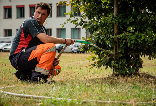 Dobrovolní hasiči pomáhají pracovníkům technických služeb v Hradci Králové...