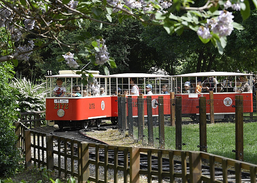 Dětská tramvajka v Zoo Praha
