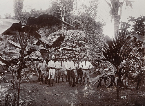 Při cestě kolem světa František Ferdinand navštívil i Austrálii a Indonésii....