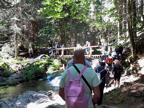 Turisté na Bílé Opavě tvoří řady, aby se vůbec dostali přes jednotlivé mostky....