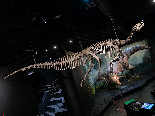 Dinosauria Museum Prague slaví pět let. Návštěvníkům poprvé představí novou...