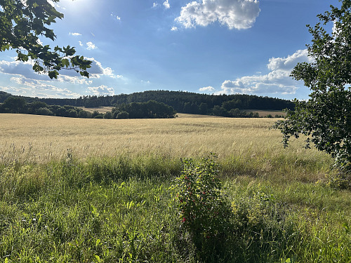 Navržená změna územního plánu může otevřít dveře výstavbě na polích na západě...