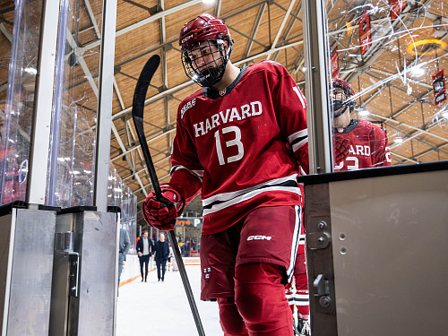 Marek Hejduk v dresu univerzity Harvard