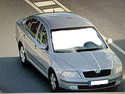 Škoda Octavia, kterou se pohyboval Vietnamec, jehož u Potštátu oloupila...