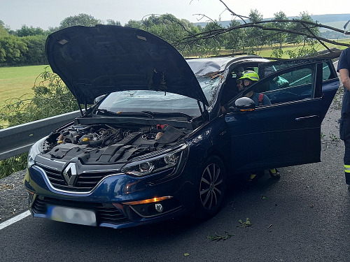 Při pádu na auto u Doudleb nad Orlicí strom zranil řidiče. (28. srpna 2026)