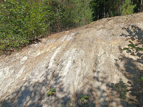Kaolin je v lese u Staré Červené Vody doslova všude.