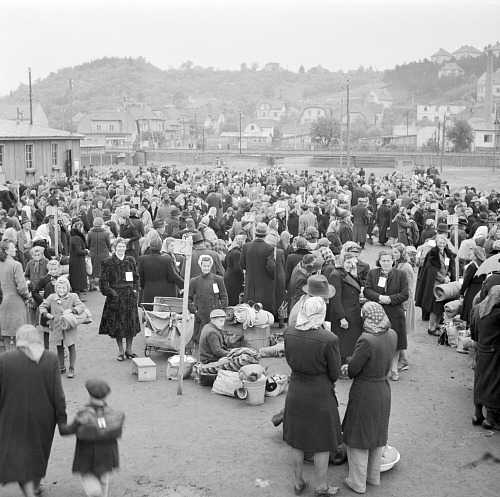Z poválečného odsunu Němců (na snímku z roku 1946) se Sudety podle různých...
