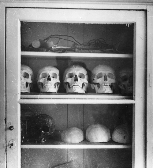 Fotografie lebek parašutistů, pořízená roku 1943 tajně  kriminalistou Nečáskem,...