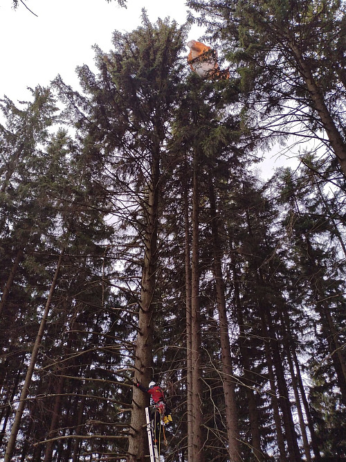 Paraglidista skončil po nevydařeném seskoku v koruně stromu na Orlickoústecku....
