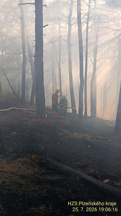 Na okraji Velhartic na Klatovsku hoří les v prudkém kopci pod hradem. Hasiči v...