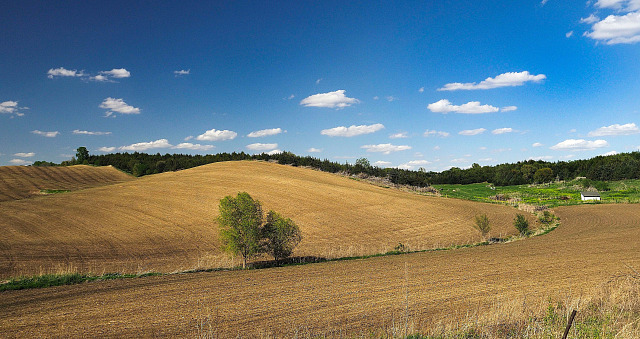 Čerstvě oseté kukuřičné pole v okrese Woodbury v Iowě (14. května 2025)