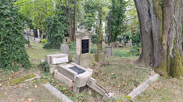 Některé náhrobky na brodském hřbitově svatého Vojtěcha se nacházejí v tristním...