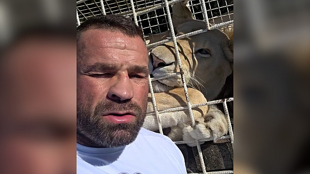 Lvice zabavená Vémolovi odjela do nového domova. Z dočasného útočiště v Zoo...