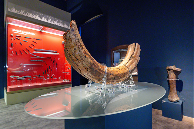 Mamutí kel na archeologické expozici Pardubicko v pravěku (16. října 2026)