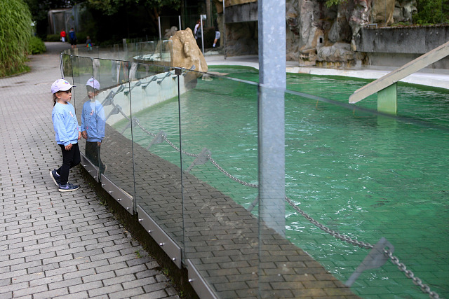 Návštěvníci liberecké zoo se zastavují u bazénu, který dříve obýval lachtan...