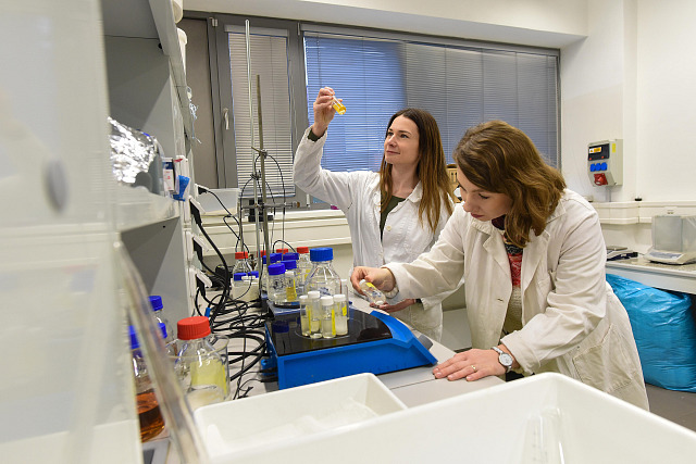 V laboratořích Centra polymerních systémů Univerzity Tomáše Bati testují nové...