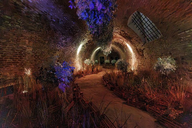 Výstava Flowers & Lights propojuje moderní světelný design, květinové umění a...