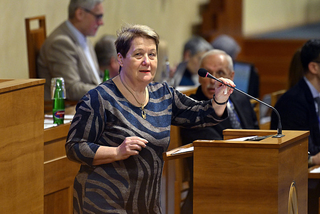 Kandidátka  na funkci veřejného ochránce práv Eva Kostolanská při jednání v...