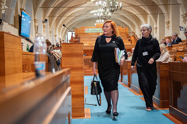 Ministryně financí a místopředsedkyně ANO Alena Schillerová v Senátu (22. dubna...