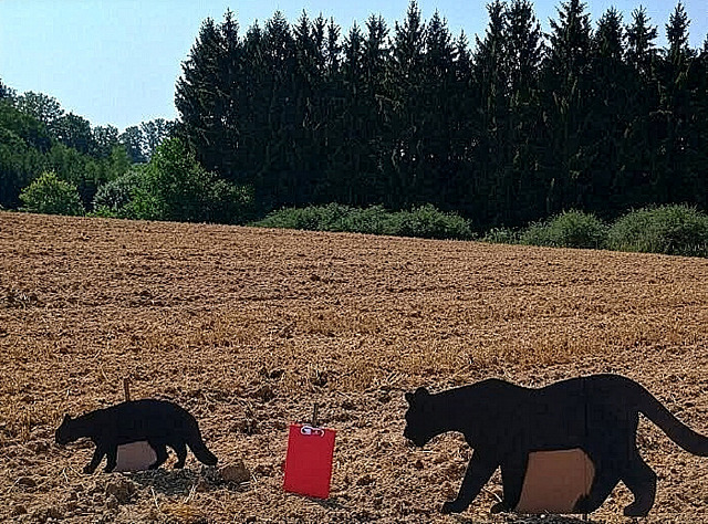 Zooložka Hana Bednářová provedla test s maketami na Táborsku u Dlouhé Lhoty.
